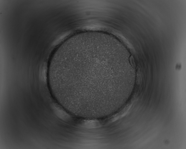 X0000102810446200809081112