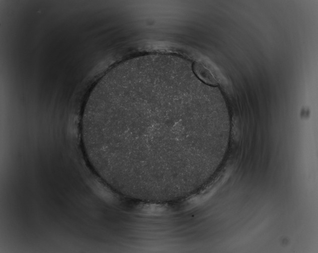 X0000102810449200809081112