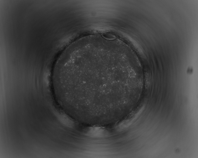 X0000102810451200809081112