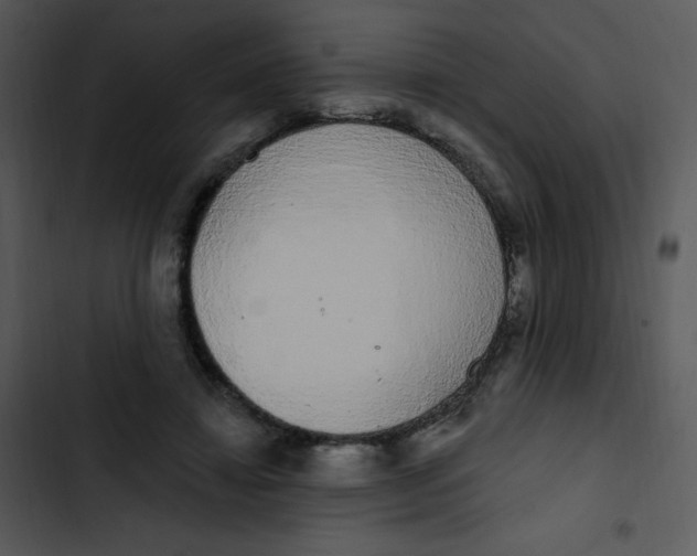 X0000102810452200809081112