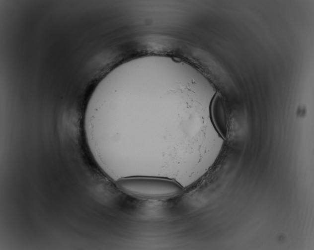 X0000102810456200809081112