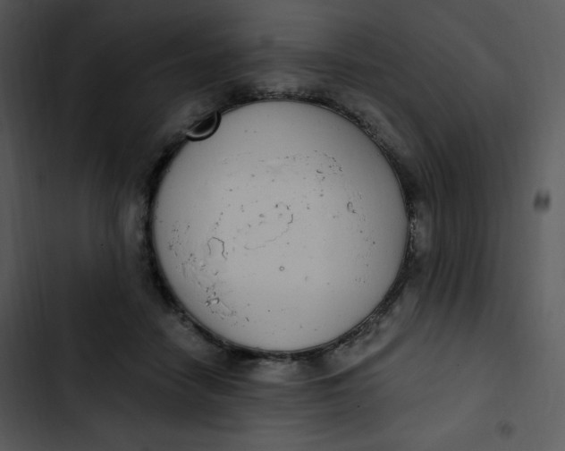 X0000102810458200809081112