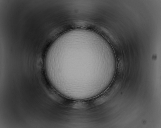 X0000102810459200809081112