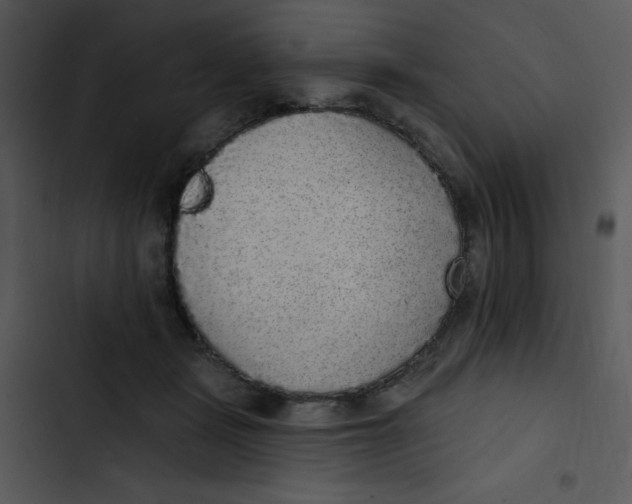 X0000102810461200809081112