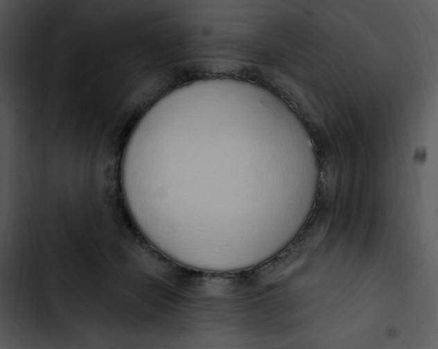 X0000102810462200809081112