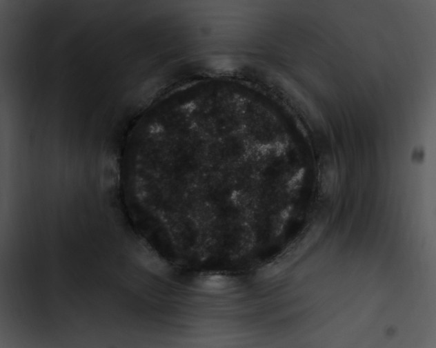 X0000102810467200809081112