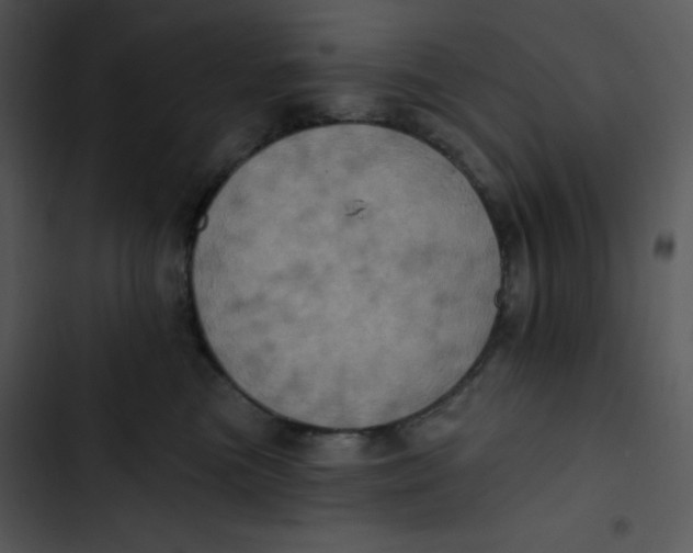 X0000102810473200809081112