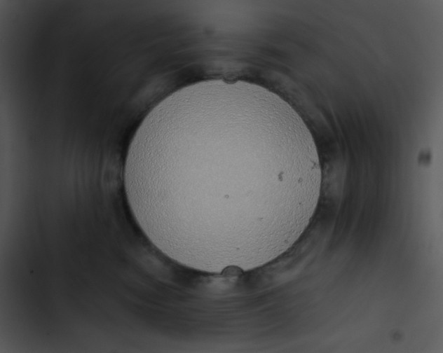 X0000102810474200809081112