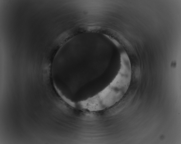 X0000102810475200809081112