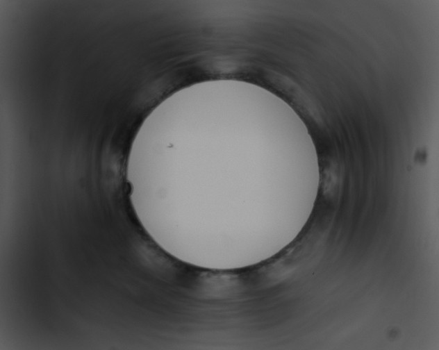 X0000102810476200809081112