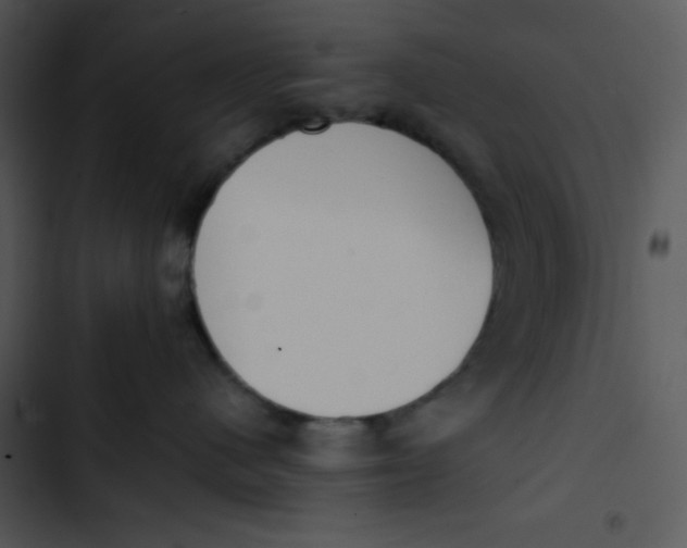 X0000102810480200809081112