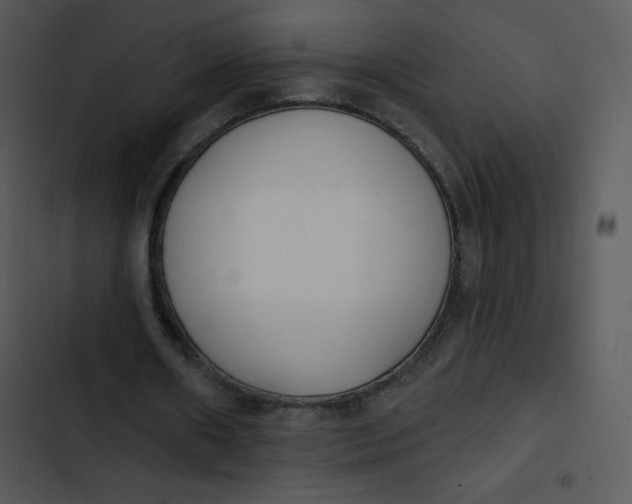 X0000102810482200809081112