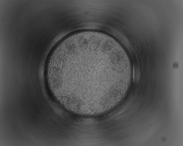 X0000102810483200809081112