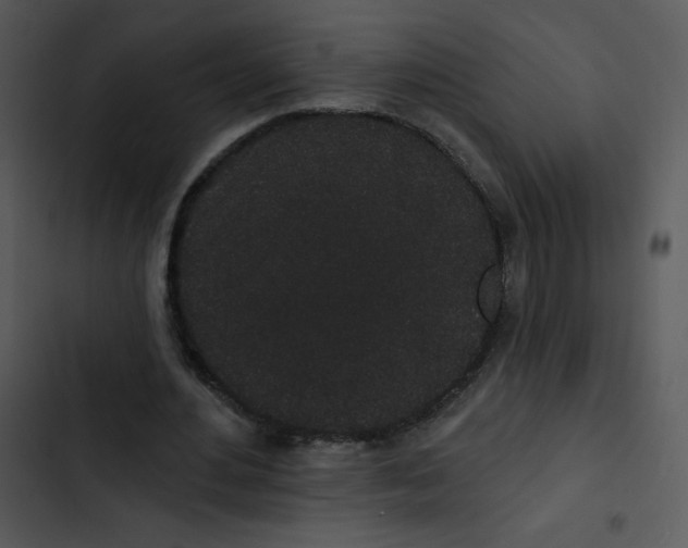 X0000102810484200809081112