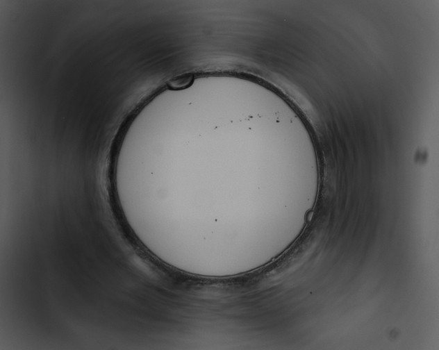 X0000102810485200809081112