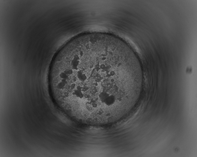 X0000102810487200809081112