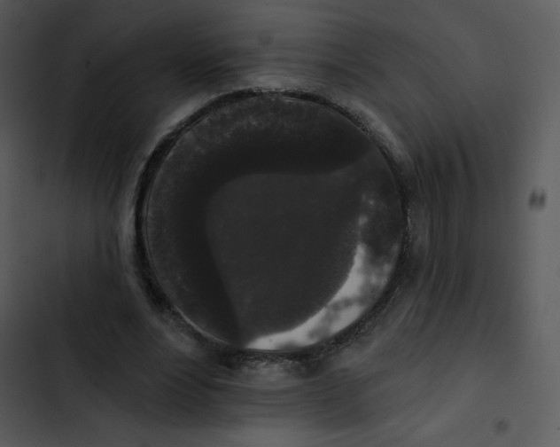 X0000102810488200809081112