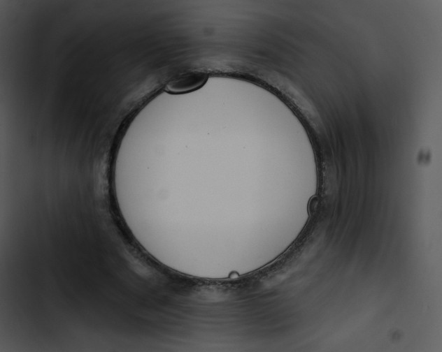 X0000102810489200809081112