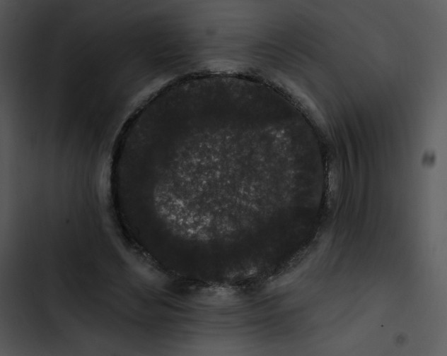 X0000102810492200809081112