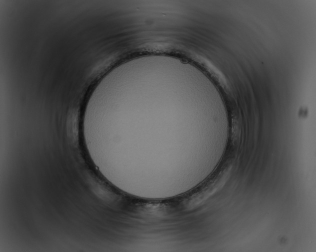 X0000102810493200809081112