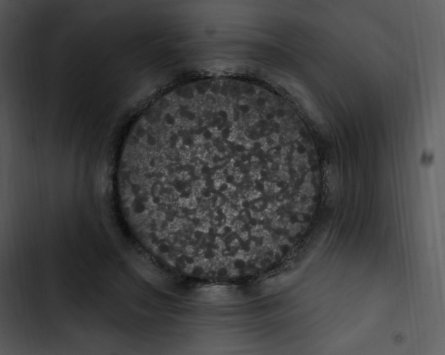 X0000102810499200809081111