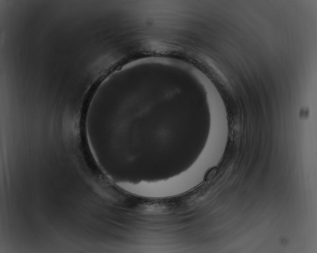 X0000102810500200809081111