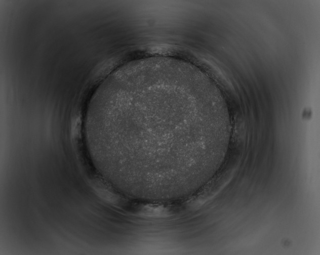 X0000102810502200809081111