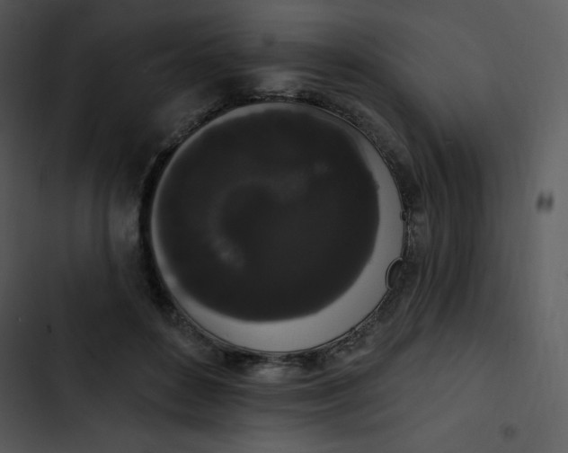 X0000102810504200809081111