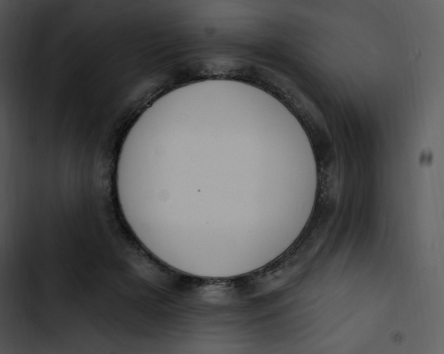 X0000102810505200809081111