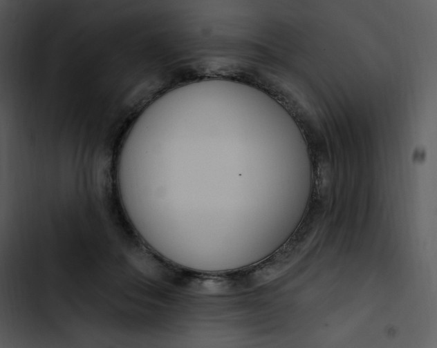 X0000102810506200809081111