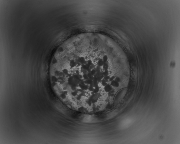 X0000102810507200809081111