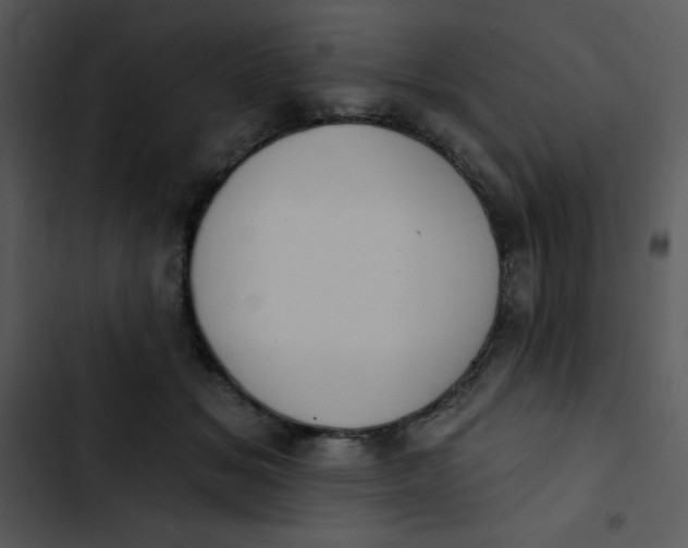 X0000102810509200809081111