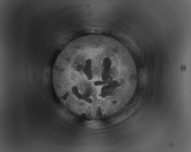 X0000102810511200809081111