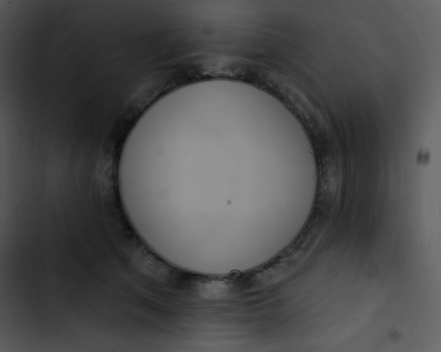 X0000102810513200809081111