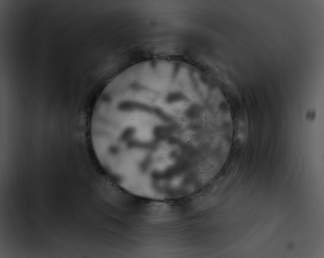 X0000102810519200809081111