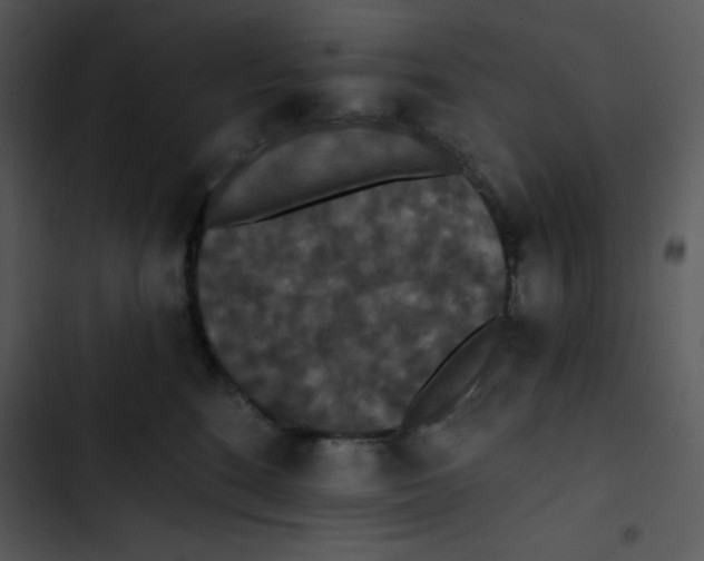 X0000102810520200809081111