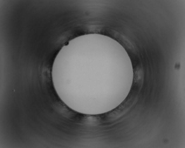 X0000102810522200809081111