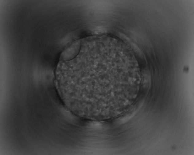 X0000102810523200809081111