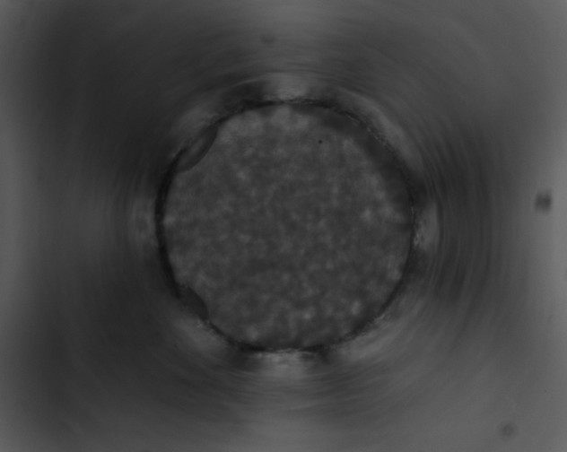 X0000102810524200809081111