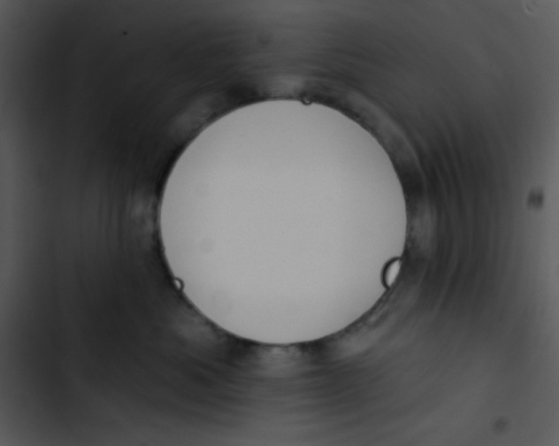 X0000102810525200809081111