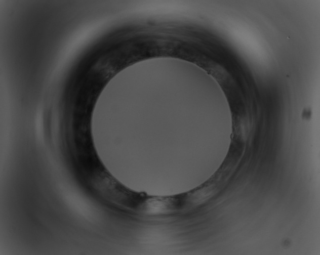 X0000102810526200809081111