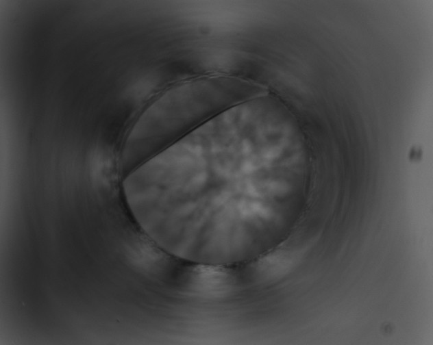 X0000102810528200809081111