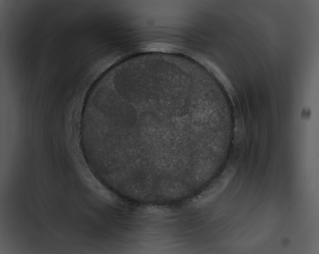 X0000102810529200809081110