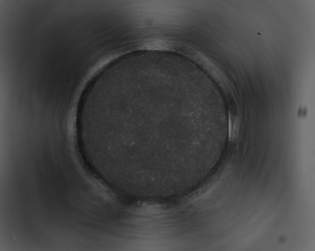 X0000102810531200809081110