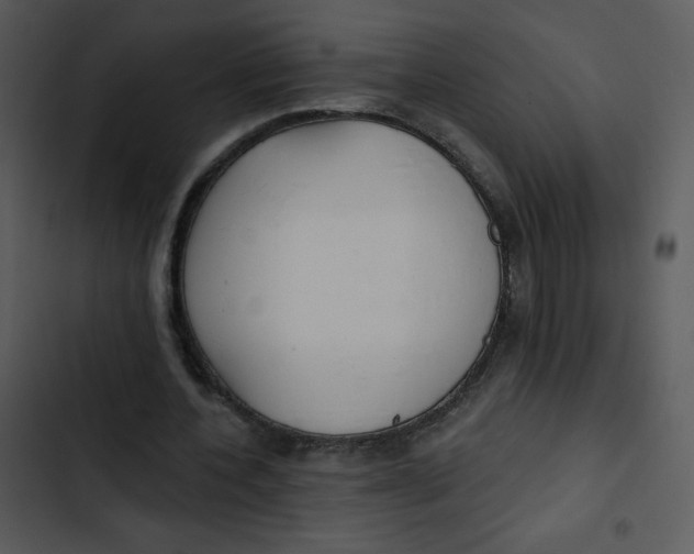 X0000102810532200809081110