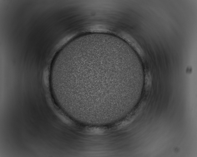 X0000102810533200809081110