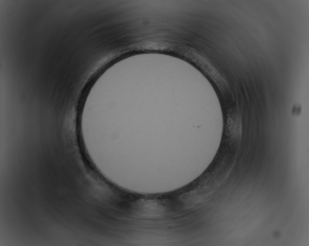 X0000102810534200809081110