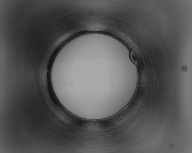 X0000102810535200809081110