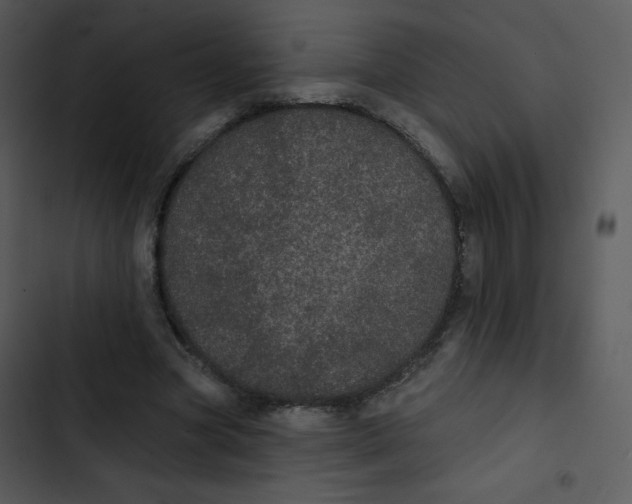 X0000102810537200809081110