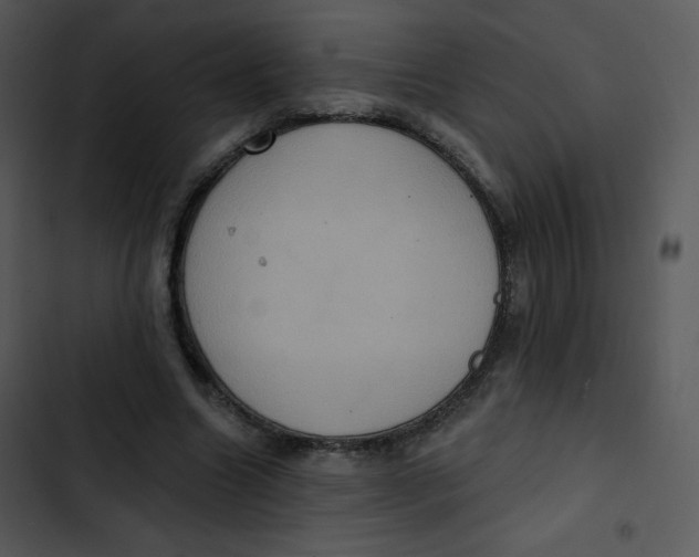 X0000102810538200809081110